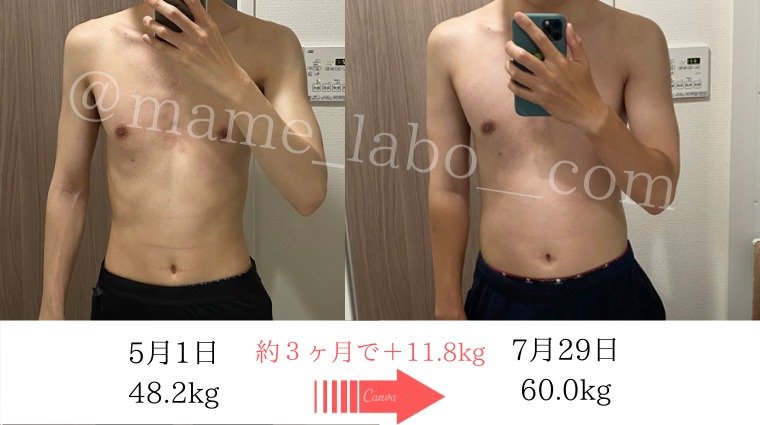 ガリガリから太った方法