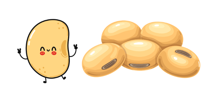 たくさんの大豆・豆