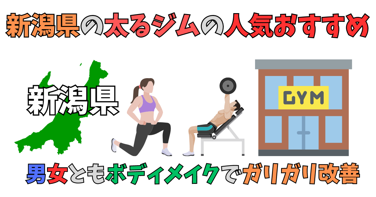 新潟県の太るジムの人気おすすめ画像